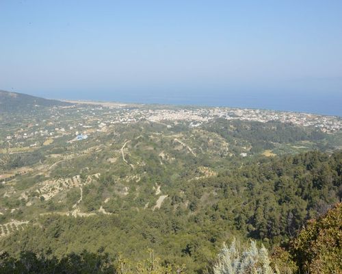 Vallée des papillons - Filerimos Tour | Excursions | Captains Tours Rhodes Grèce